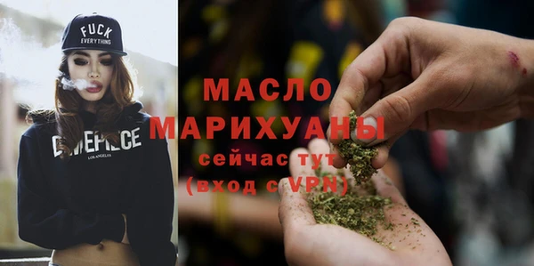 индика Мегион