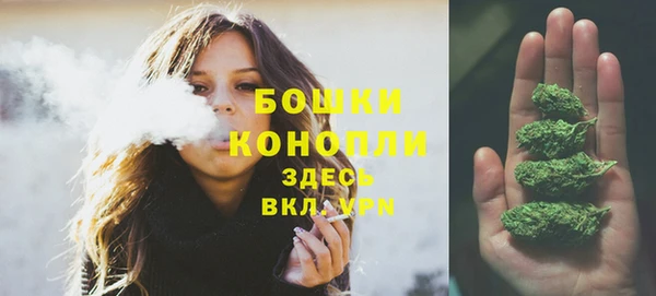 индика Волгодонск
