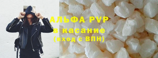 индика Мегион