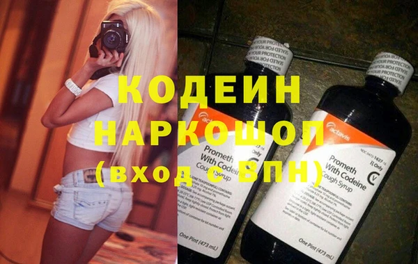 индика Мегион