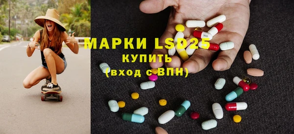 трава Магас