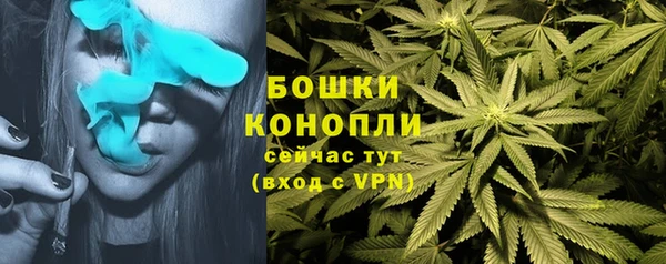 трава Магас