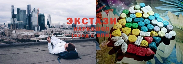 индика Мегион