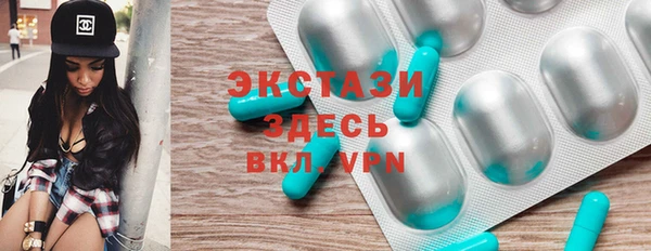 индика Мегион