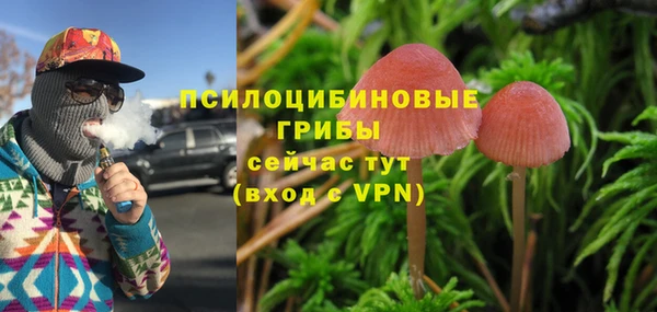 jwh Медногорск