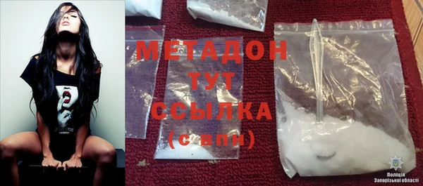 индика Мегион