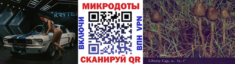 как найти   Волжск  Галлюциногенные грибы Psilocybine cubensis 