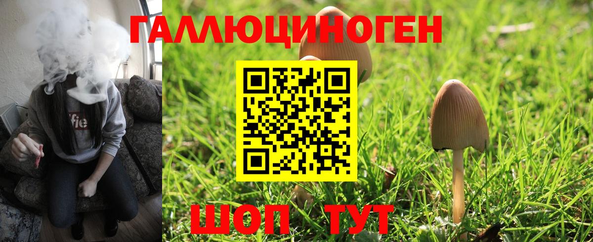 Галлюциногенные грибы мухоморы Волжск