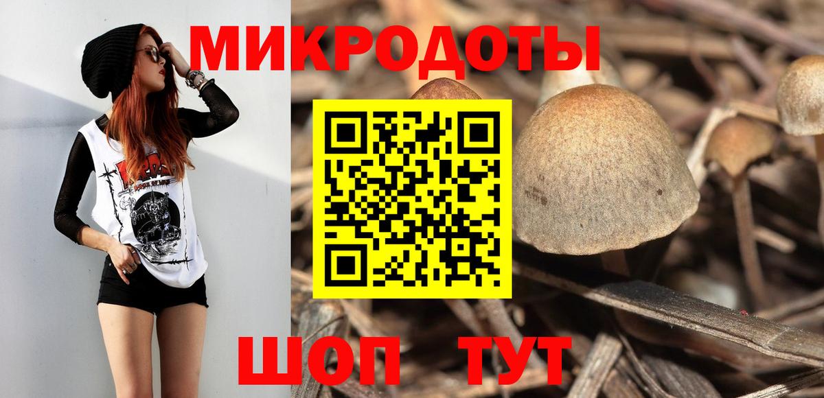 Псилоцибиновые грибы мицелий Волжск